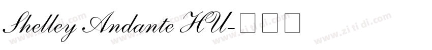 Shelley Andante HU字体转换